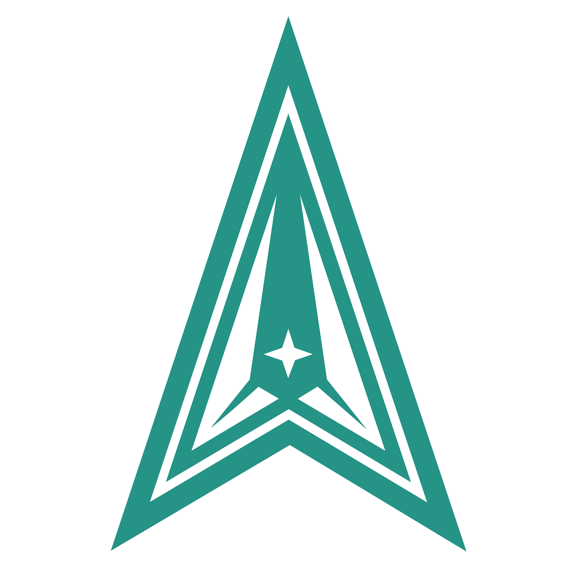 U.S. Space Force Logo